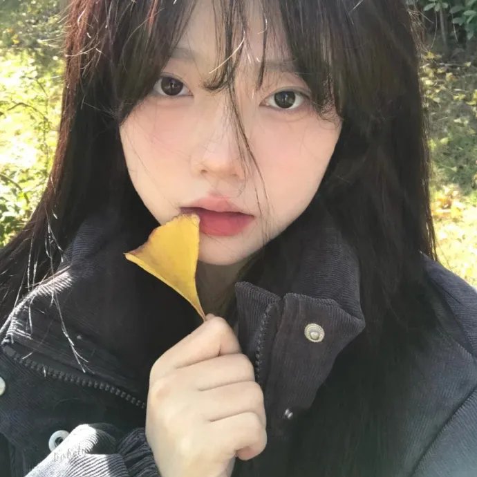 精选推荐